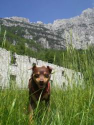 23_vualt vecchia.JPG